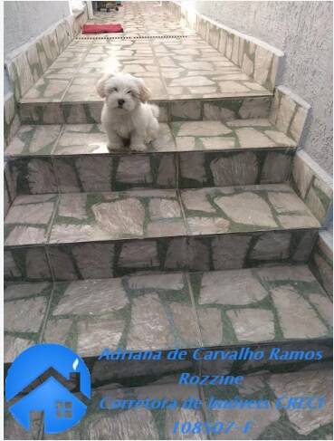 Casa, 3 quartos, 150 m² - Foto 12