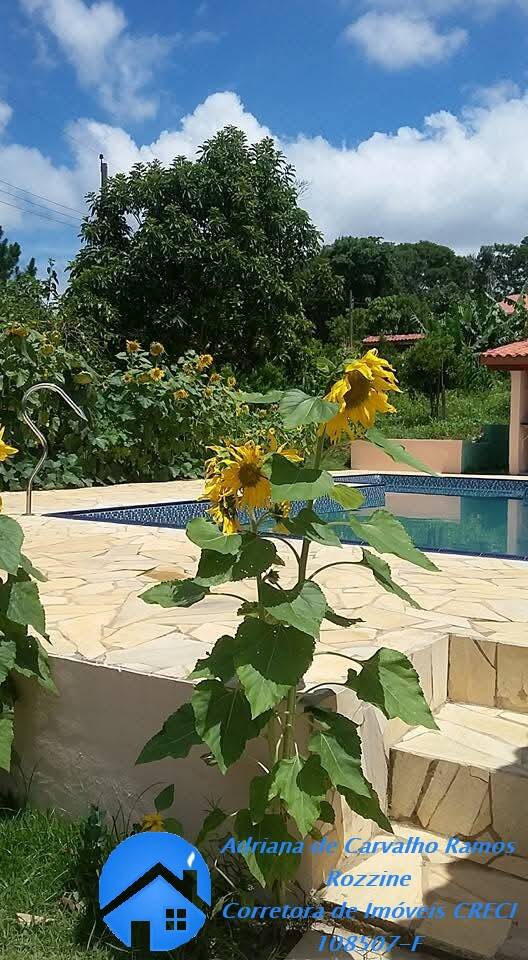 Casa, 2 quartos, 2000 m² - Foto 13