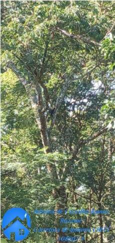 Apartamento, 2 quartos, 44 m² - Foto 17